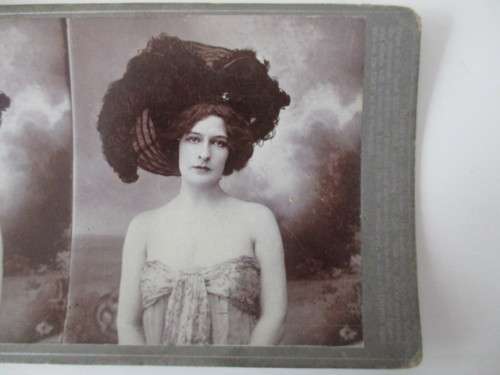 VICTORIAN - STEREOSCOPE CARD -  1800'S