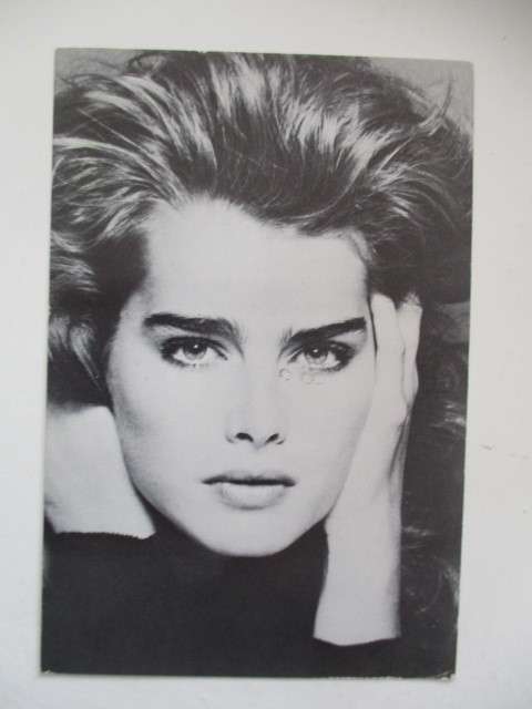 PRINTED AUTOGRAPH - BROOKE SHIELDS - POSTCARD
