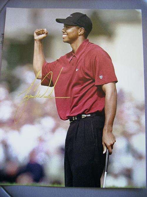 Autograph Tiger Woods