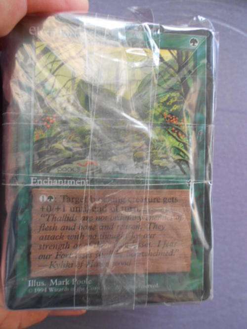 Magic the Gathering 100 or more commins if a rare or uncommin sneak in good 4 u