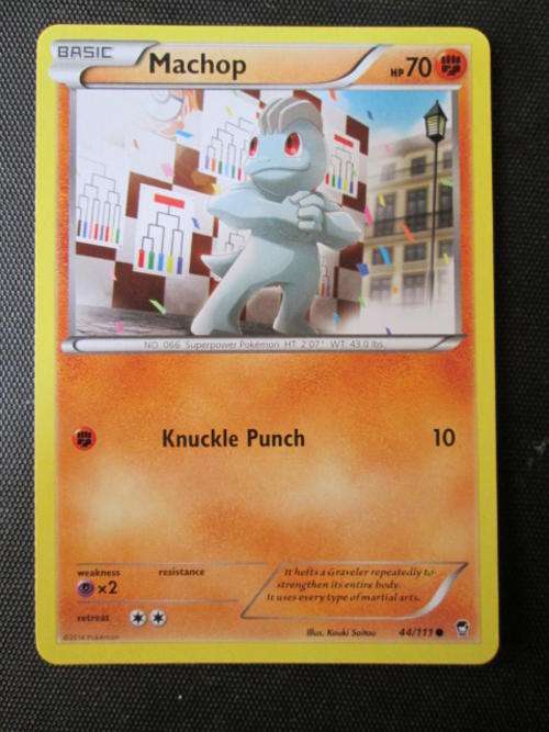 Pokemon Furious Fists Machop