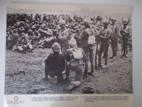 VINTAGE - POSTER / PRINT - BOER PRISNERS UNDER GUARD - BOER WAR PERIOD 39 CM