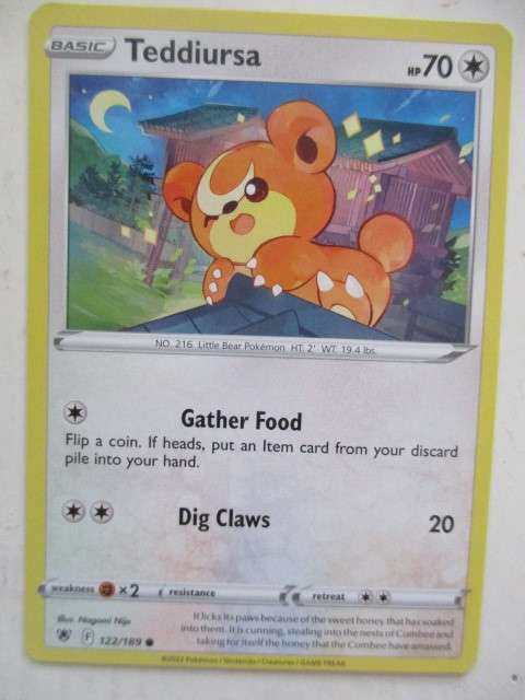 POKEMON TRADING CARD - TEDDIURSA