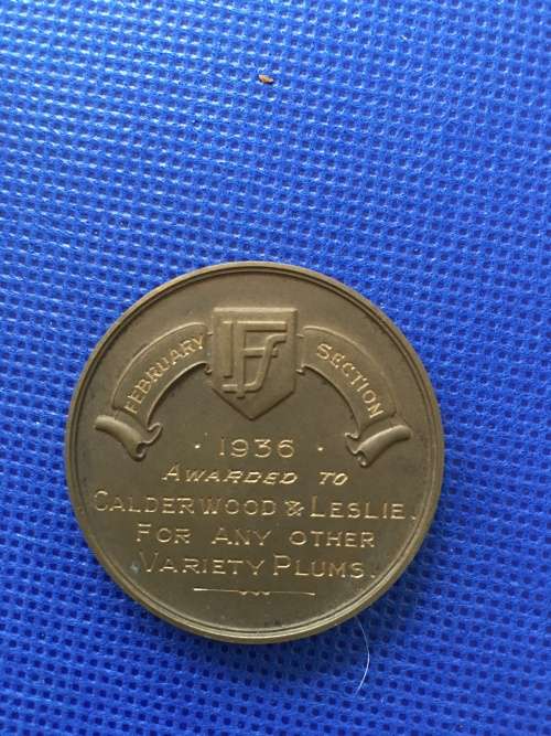 MEDALION FRUIT SHOW  1936 BRONZE