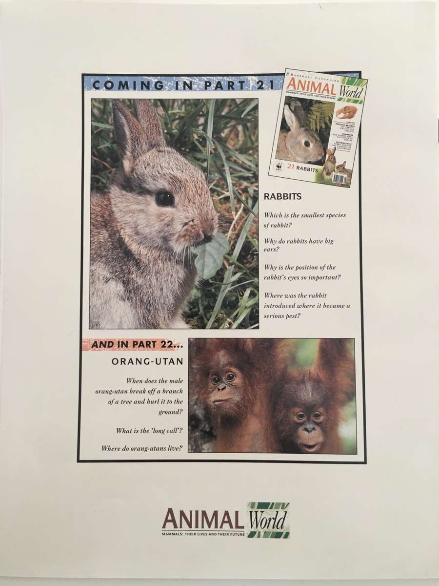 LOVELY MAGAZINE - ANIMAL W0RLD - NO.  20. -PIGS AND PECCARIES -  1993