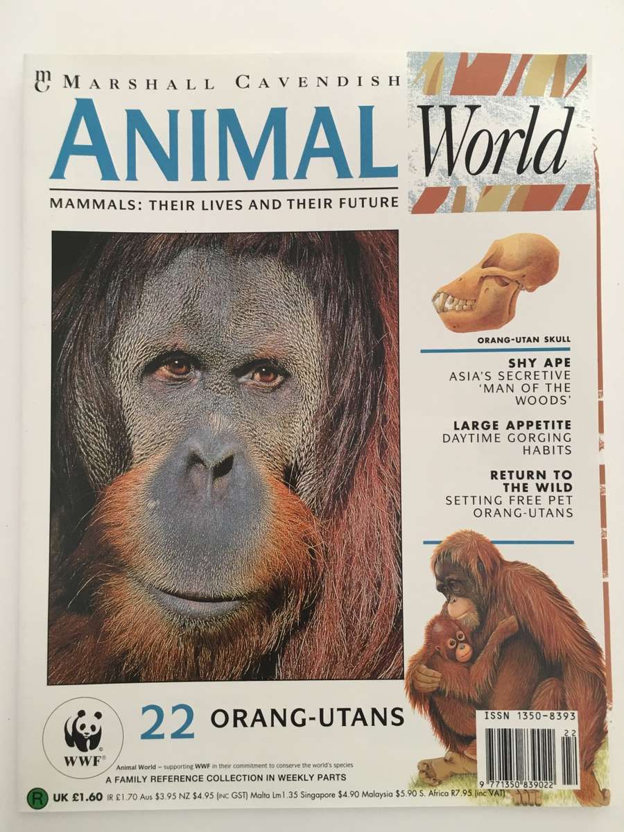 LOVELY MAGAZINE - ANIMAL W0RLD - NO.  22 - ORANG-UTANS - 1993