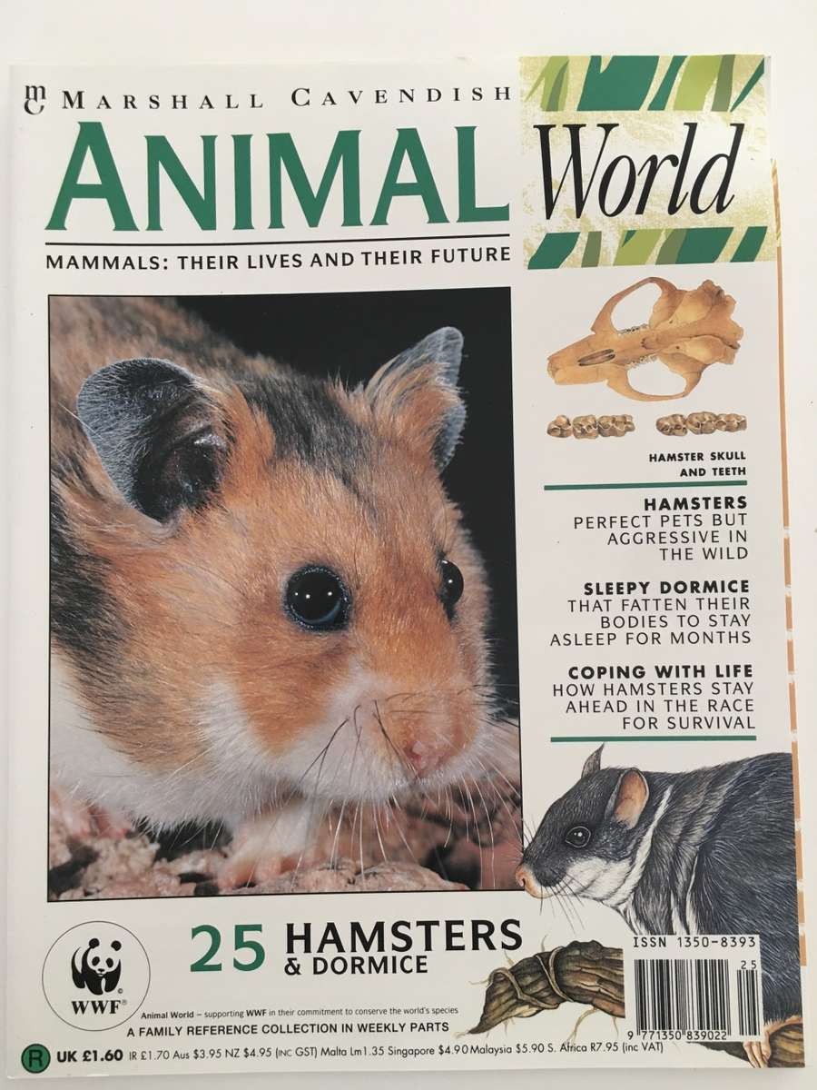 LOVELY MAGAZINE - ANIMAL W0RLD - NO.  25 - HAMSTERS - 1993