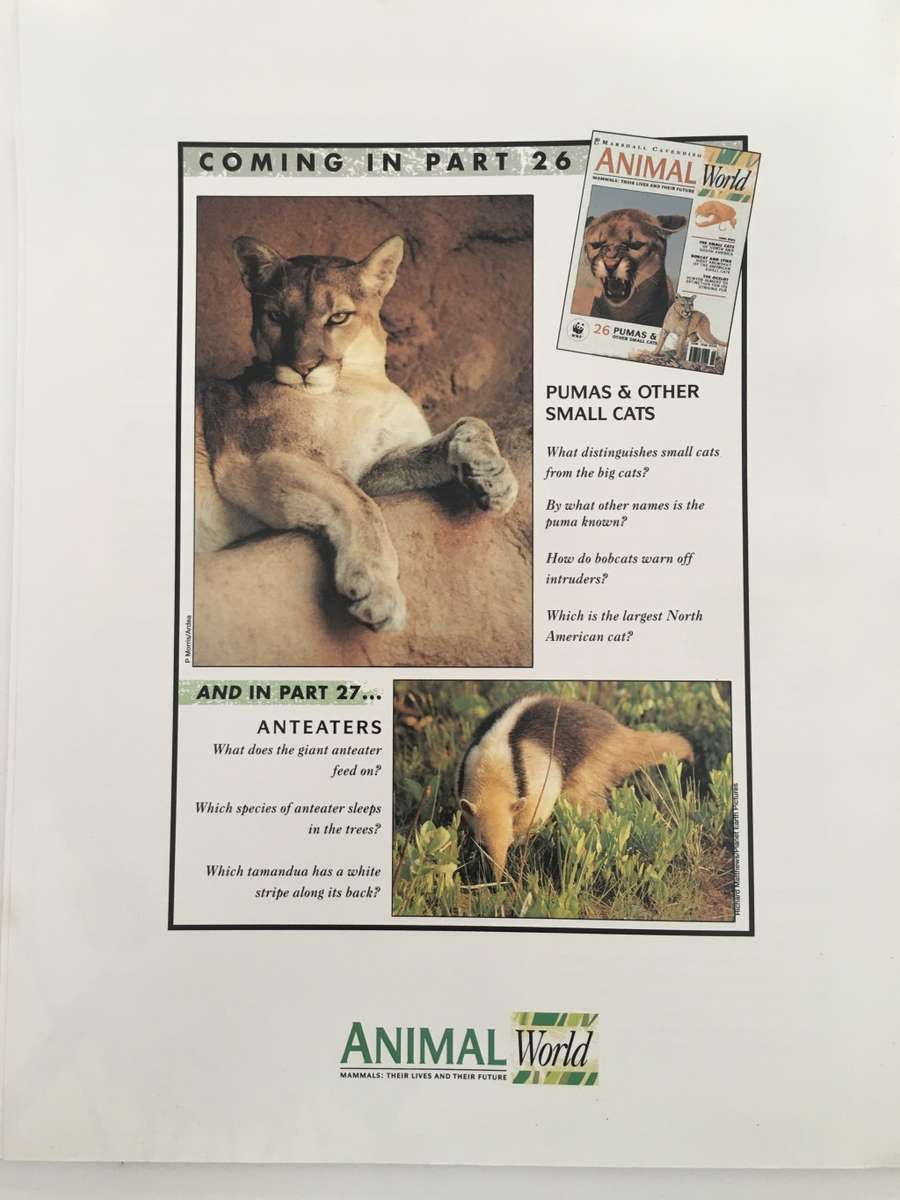 LOVELY MAGAZINE - ANIMAL W0RLD - NO.  25 - HAMSTERS - 1993