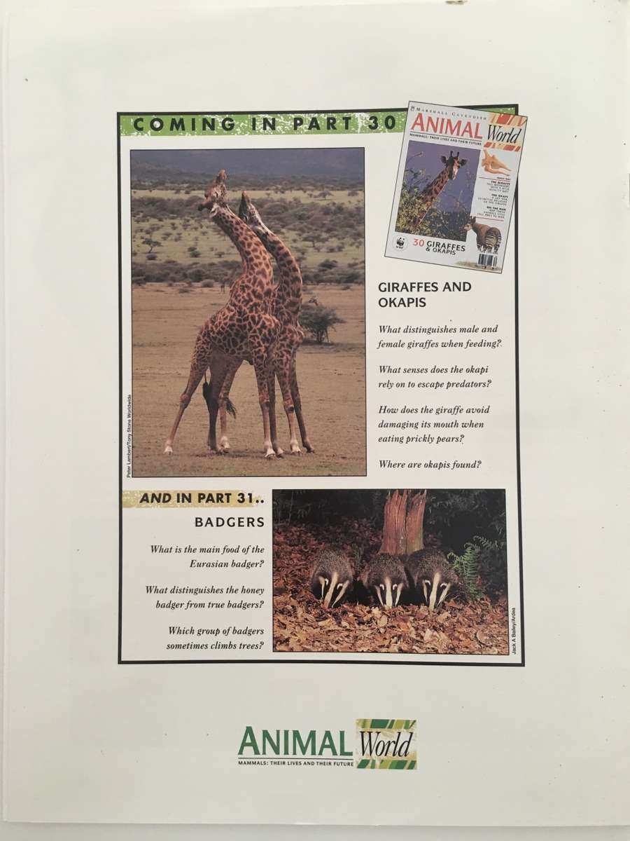 LOVELY MAGAZINE - ANIMAL W0RLD - NO.  29 - FRUIT BATS - 1993