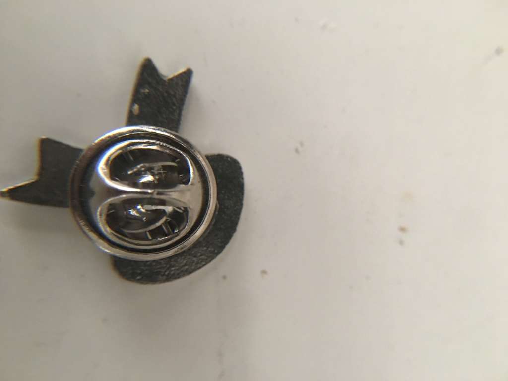 BADGE FOR CHILD ABUSE