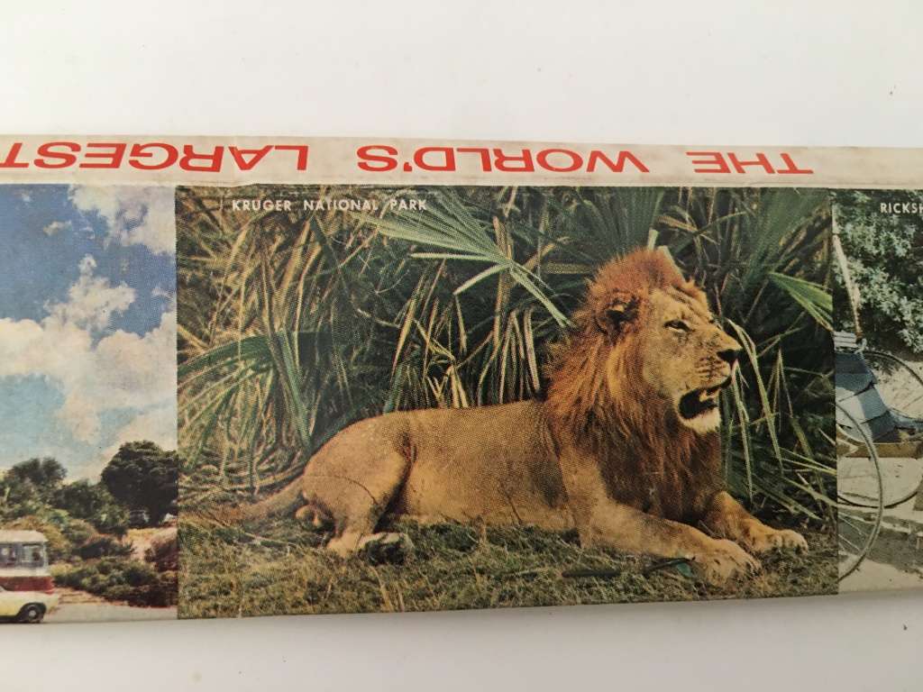 VINTAGE  SOUVENIR  MATCHBOOK LONGER THAN A RULER  SCENES FROM SOUTH AFRICA 1960`S