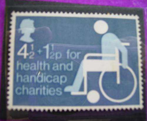 Disabled persons 1975