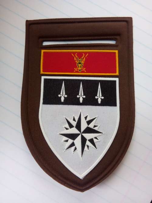 SADF .... SPECIAL FORCES 1 RECCE REGT TUPPER FLASH .. NOT ORIGINAL