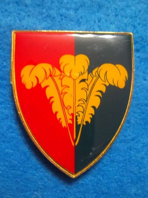 SADF .. EASTERN CAPE COMMAND METAL SHOULDER FLASH (YELLOW) .. ALL PINS INTACT