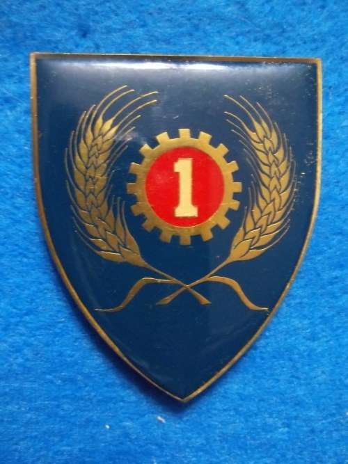 SADF .. 1 MAINT UNIT METAL SHOULDER FLASH .. ALL PINS INTACT