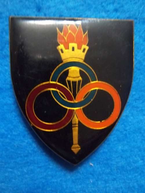 SADF .. SERVICES SCHOOL METAL SHOULDER FLASH .. ALL PINS INTACT