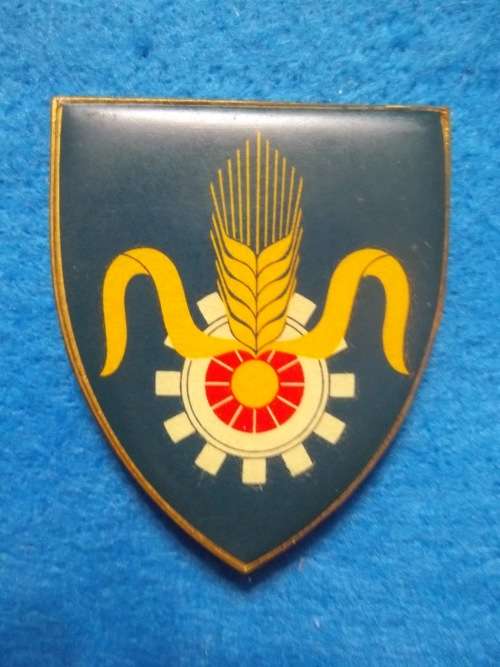 SADF .. QM GENERAL METAL SHOULDER FLASH .. ALL PINS INTACT