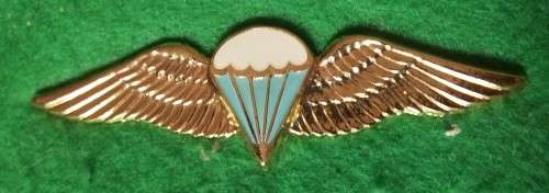 SADF BASIC PARA WING FULL SIZE - PINS INTACT (DINNES 311)