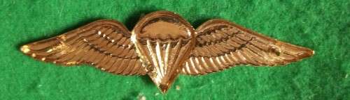 SADF BASIC PARA WING FULL SIZE - PINS INTACT (DINNES 311)