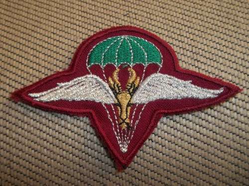 SADF / SANDF 1 PARA BN BERET BADGE - LUREX