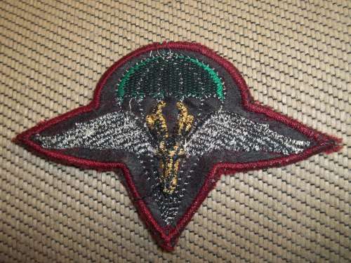 SADF / SANDF 1 PARA BN BERET BADGE - LUREX