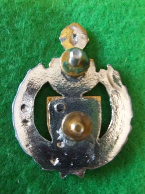 SADF - 2 FIELD ENGINEER REGT BERET BADGE (2 PIECE) - SCREW LUGS INTACT