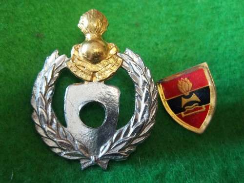 SADF - 2 FIELD ENGINEER REGT BERET BADGE (2 PIECE) - SCREW LUGS INTACT