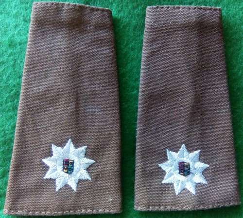 UNUSED - SADF -  MAJOR SLIP ON RANK PAIR - LAST NUTRIA DRESS