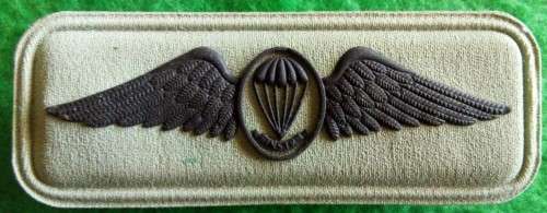 SANDF - PARA INSTR. WING - ( S2000) - PINS INTACT - GLUE STAINS ON REAR.