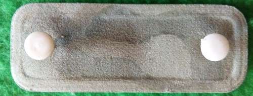 SANDF - PARA INSTR. WING - ( S2000) - PINS INTACT - GLUE STAINS ON REAR.