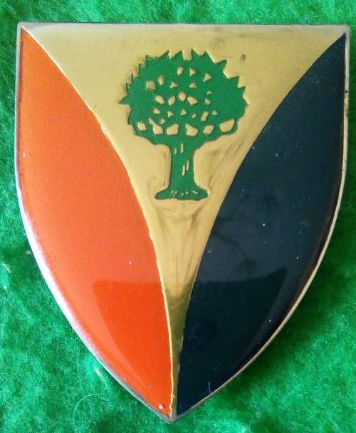 SADF - REGIMENT VRYSTAAT METAL SHOULDER FLASH  - PINS INTACT