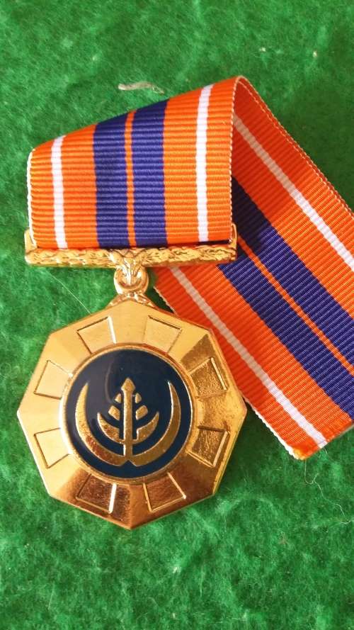 SADF - FULL SIZE PRO PATRIA MEDAL - FLAT ROUNDEL FIXED SUSPENDER