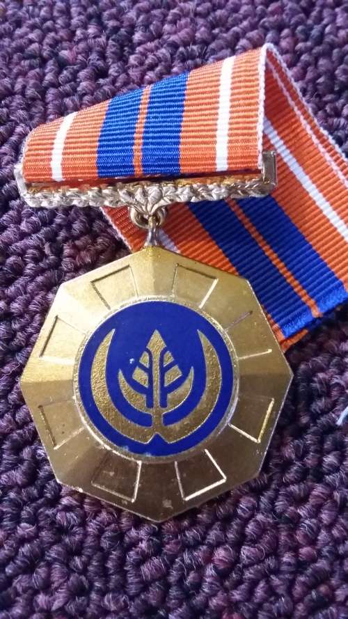 SADF - PRO PATRIA MEDAL -  EARLY TYPE - SWIVEL SUSPENDER
