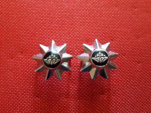SADF - PROTEA 9 POINT STAR RANK PIPS PAIR - PINS INTACT (SMALL SIZE)