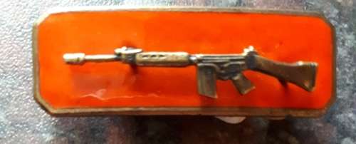 SADF - BRONZE MARKSMAN BADGE ` SKIETBALKIE` (FULL SIZE) PINS INTACT