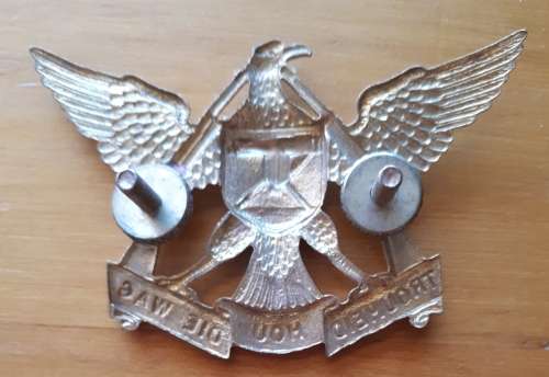 REGT DE WET GILDING CAP BADGE - SCREWS INTACT