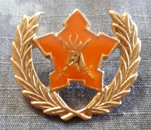 SADF - ARMY 5 YEAR VOLUNTEER SERVICE - PINS INTACT