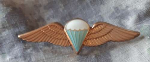 SADF / SANDF - FULL SIZE BASIC PARA WING -- PINS INTACT
