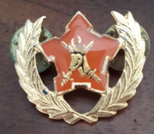 SADF - ARMY 5 YEAR VOLUNTEER SERVICE - PINS INTACT