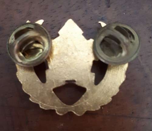 SADF - ARMY 5 YEAR VOLUNTEER SERVICE - PINS INTACT