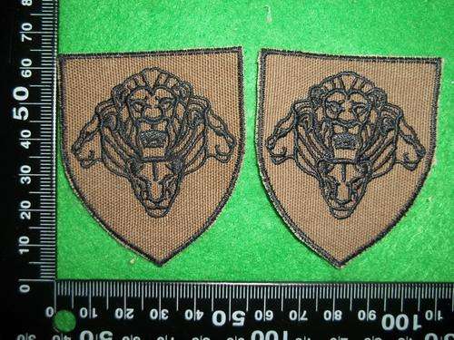 2 X SADF NUTRIA PRIDE OF LIONS SHOULDER FLASH