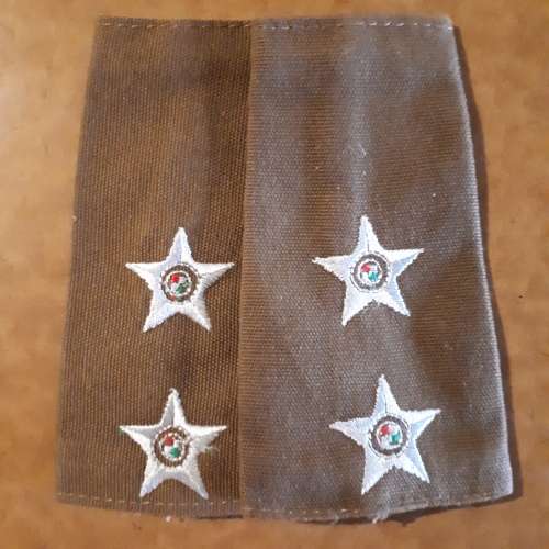 SADF - LT NUTRIA SLIP ON RANK PAIR (LAST NUTRIA DRESS)