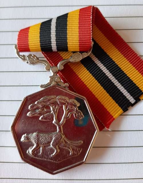 SADF - FULL SIZE SOUTHERN AFRICA MEDAL (NUMBERED) (NUMBER MAY DIFFER FROM PICTURE)