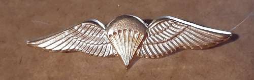 SADF - MESS DRESS BASIC PARA WING - PINS INTACT