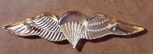 SADF - MESS DRESS BASIC PARA WING - PINS INTACT