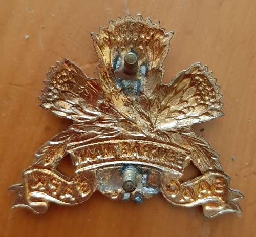 SADF - GILDING SAAC (SA ARMOUR CORPS) CAP BADGE - SCREWS INTACT