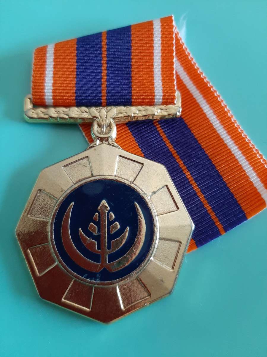 SADF - FULL SIZE PRO PATRIA MEDAL (NUMBERED)