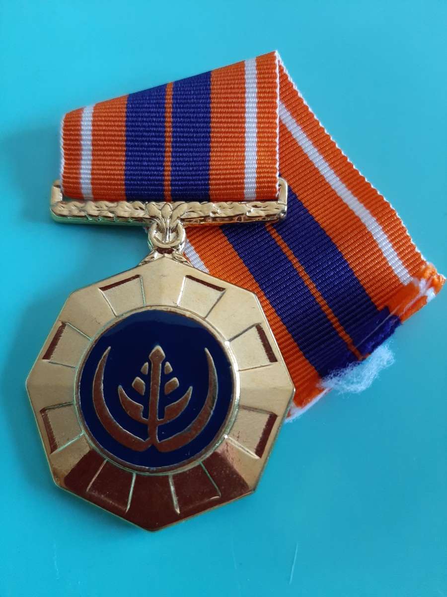 SADF - FULL SIZE PRO PATRIA MEDAL (NUMBERED)