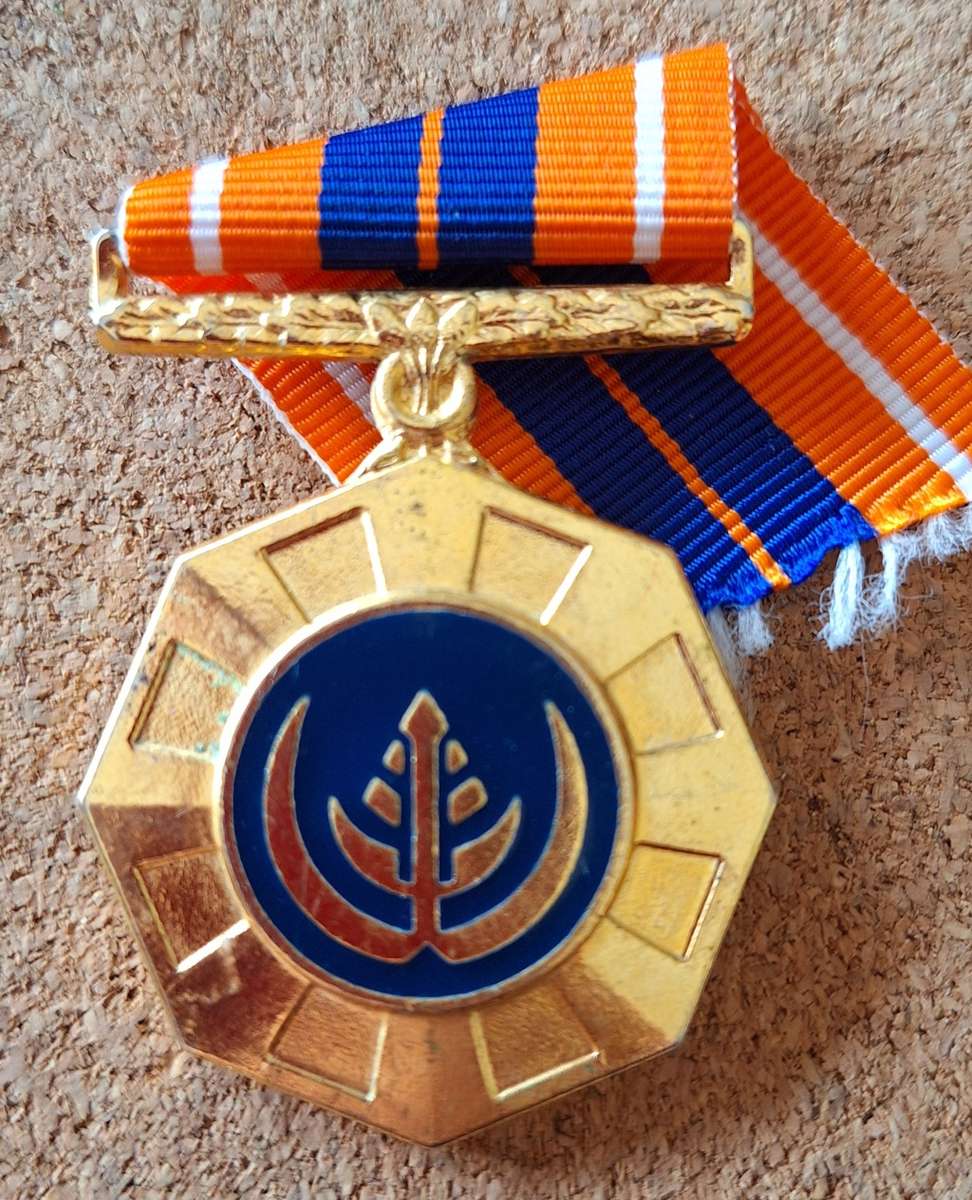 SADF - FULL SIZE PRO PATRIA MEDAL (NUMBERED)