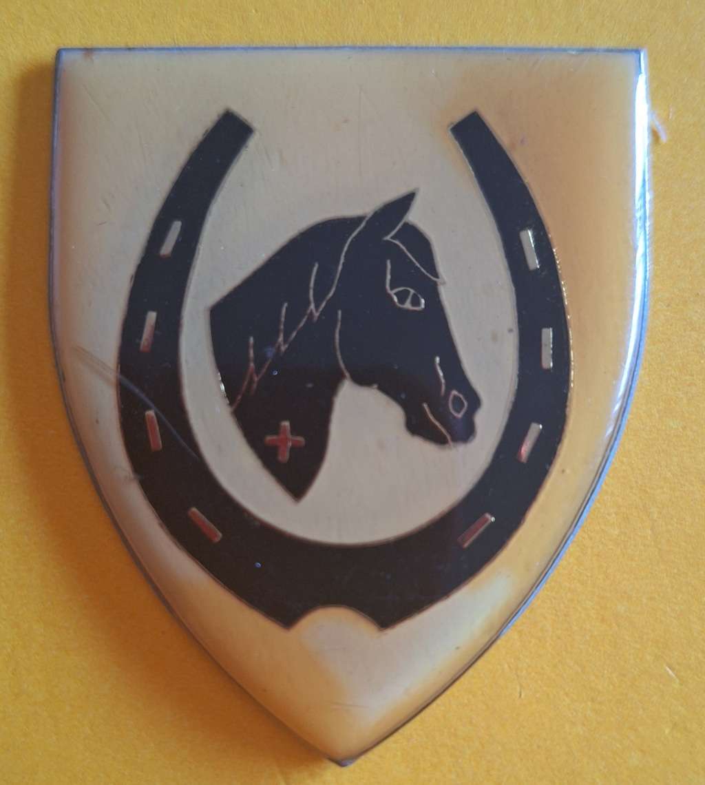 SADF - EQUESTRIAN CENTRE SHOULDER FLASH ## NO PINS ##
